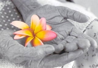 Estatutos do Centro Social Recreativo e Cultural de CarlÃ£oEstatutos do Centro Social Recreativo e Cultural de Carlão