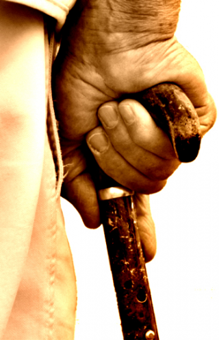 REGULAMENTO INTERNO SAD REGULAMENTO INTERNO SAD